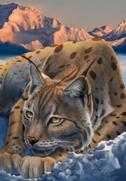 Klarisa_Človeška Svoboda